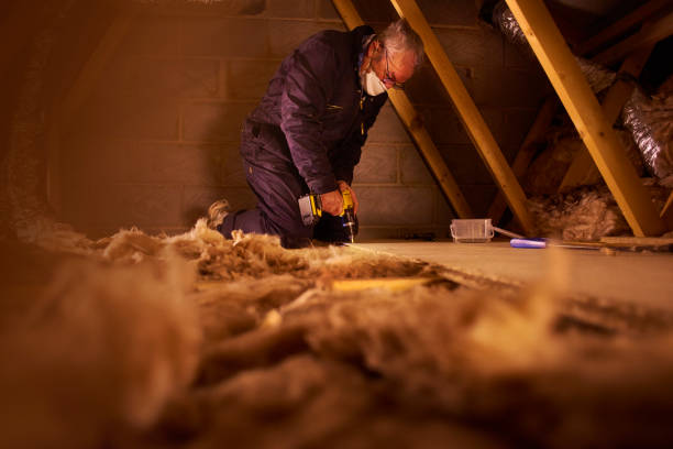 Best DIY Insulation Kits and Guidance in Gerald, MO